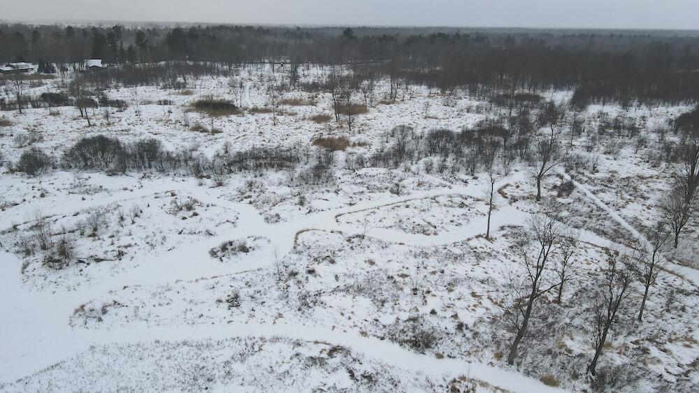 78.5-acres Alabaster Road Tawas City, MI 48763 - Photo 13 of 91 DJI_0443