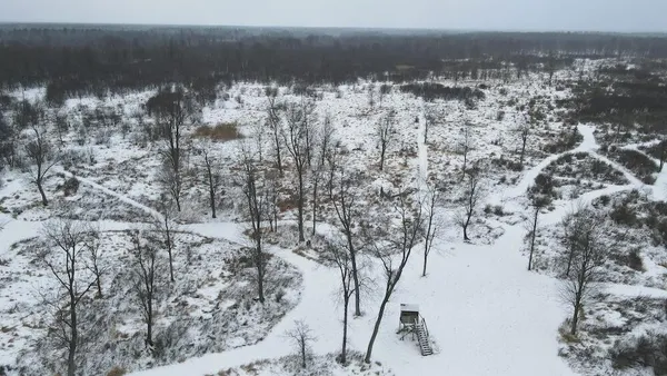 $274,900 | 78.5-acres Alabaster Road, Tawas City, MI 48763