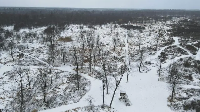 $274,900 | 78.5-acres Alabaster Road, Tawas City, MI 48763