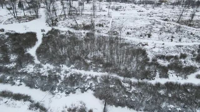 $274,900 | 78.5-acres Alabaster Road, Tawas City, MI 48763