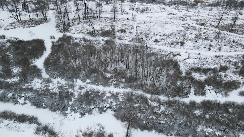 78.5-acres Alabaster Road Tawas City, MI 48763 - Photo 15 of 91 DJI_0445