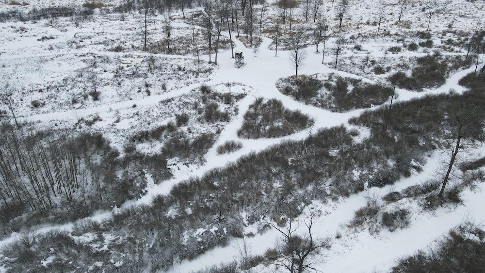 78.5-acres Alabaster Road Tawas City, MI 48763 - Photo 16 of 91 DJI_0446