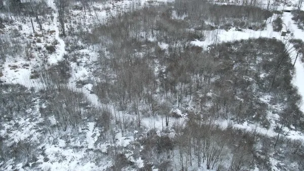 $274,900 | 78.5-acres Alabaster Road, Tawas City, MI 48763