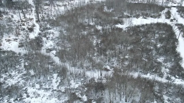 $274,900 | 78.5-acres Alabaster Road, Tawas City, MI 48763