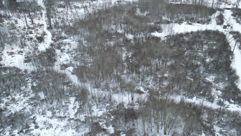 78.5-acres Alabaster Road Tawas City, MI 48763 - Photo 17 of 91 DJI_0447