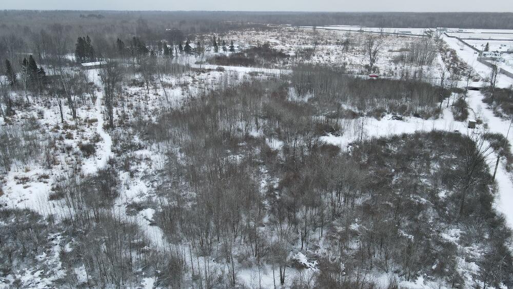 78.5-acres Alabaster Road Tawas City, MI 48763 - Photo 18 of 91 DJI_0448