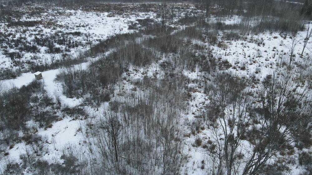 78.5-acres Alabaster Road Tawas City, MI 48763 - Photo 19 of 91 DJI_0449