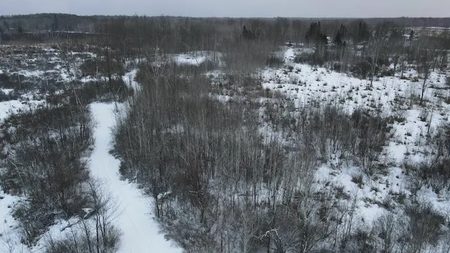 $274,900 | 78.5-acres Alabaster Road, Tawas City, MI 48763