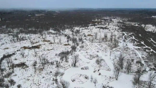 $274,900 | 78.5-acres Alabaster Road, Tawas City, MI 48763