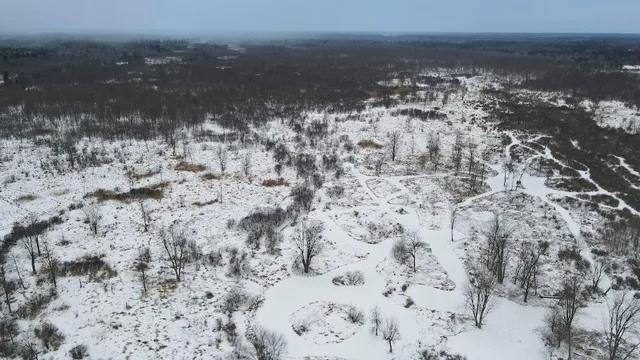 $274,900 | 78.5-acres Alabaster Road, Tawas City, MI 48763