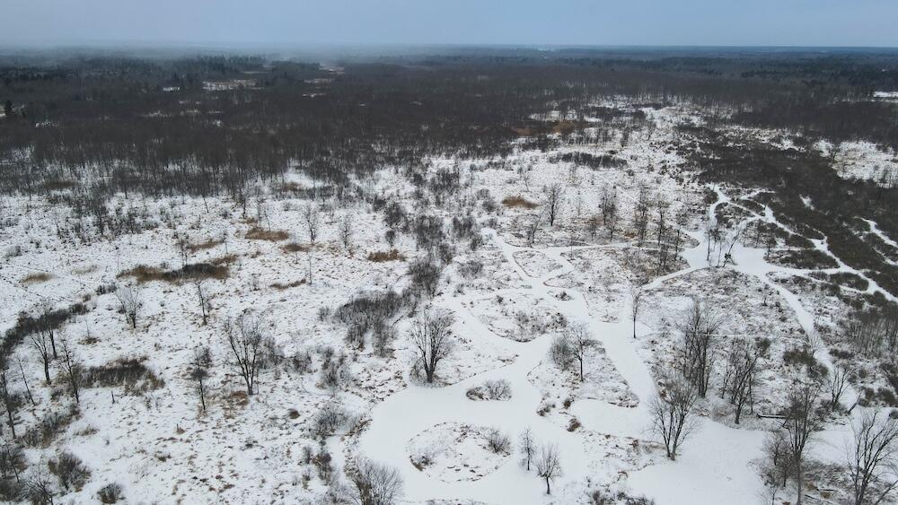 78.5-acres Alabaster Road Tawas City, MI 48763 - Photo 2 of 91 DJI_0431