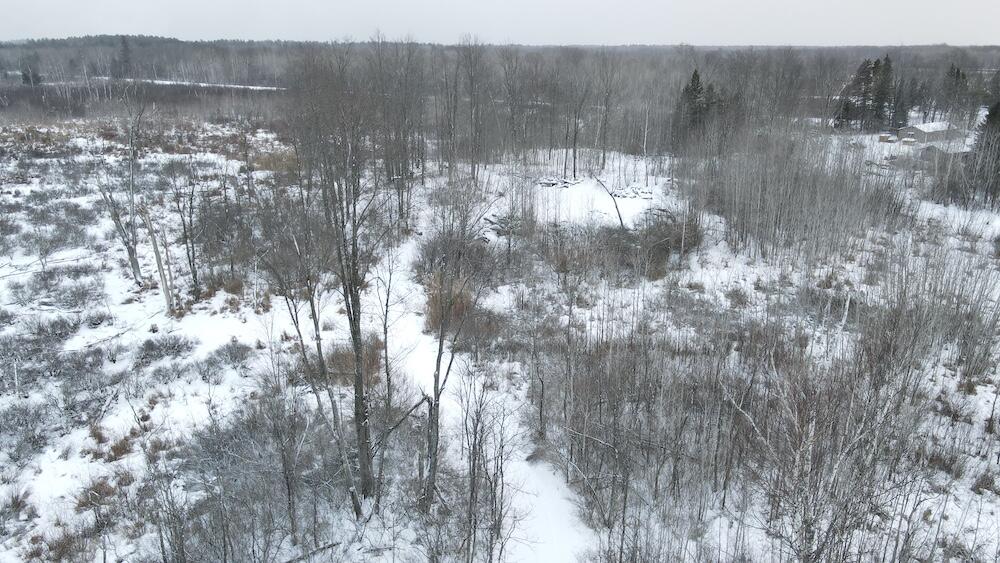 78.5-acres Alabaster Road Tawas City, MI 48763 - Photo 21 of 91 DJI_0453