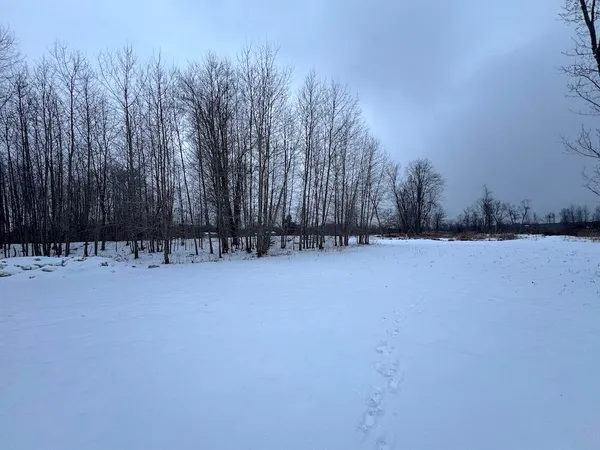 $274,900 | 78.5-acres Alabaster Road, Tawas City, MI 48763