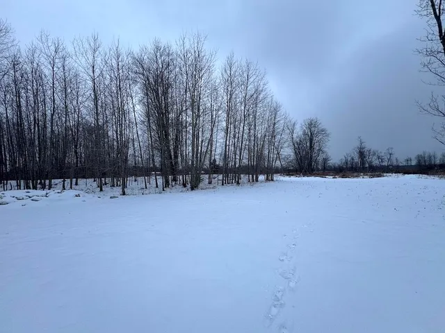 $274,900 | 78.5-acres Alabaster Road, Tawas City, MI 48763