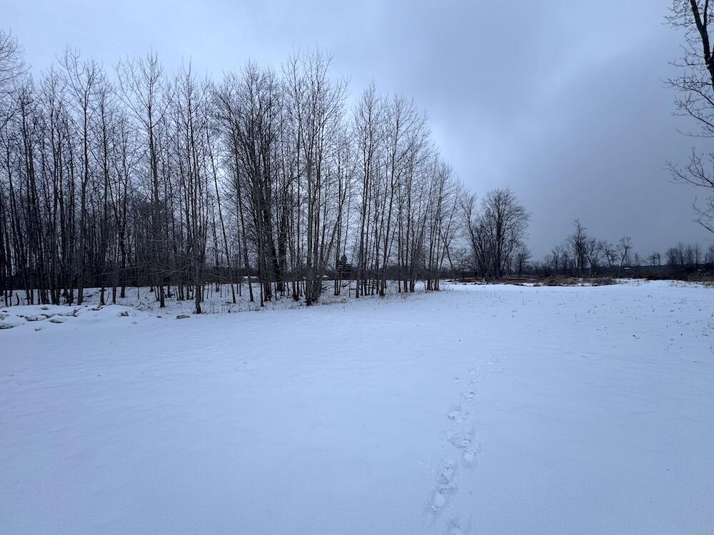 78.5-acres Alabaster Road Tawas City, MI 48763 - Photo 22 of 91 IMG_8742