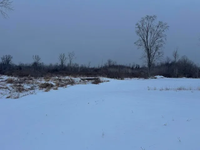 $274,900 | 78.5-acres Alabaster Road, Tawas City, MI 48763