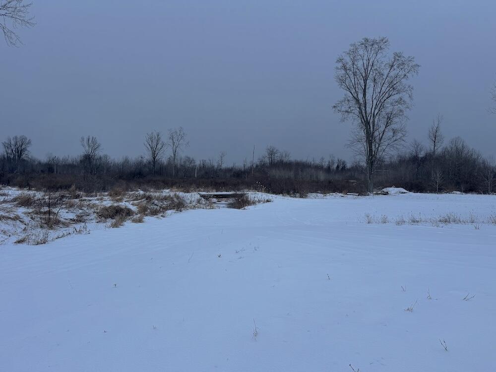 78.5-acres Alabaster Road Tawas City, MI 48763 - Photo 23 of 91 IMG_8752