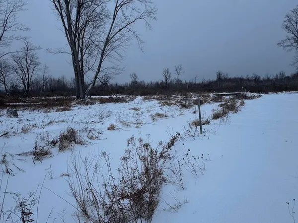 $274,900 | 78.5-acres Alabaster Road, Tawas City, MI 48763