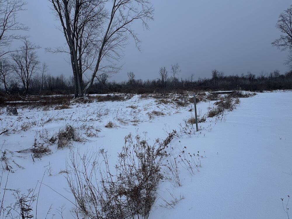78.5-acres Alabaster Road Tawas City, MI 48763 - Photo 24 of 91 IMG_8754