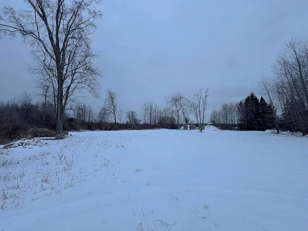 $274,900 | 78.5-acres Alabaster Road, Tawas City, MI 48763
