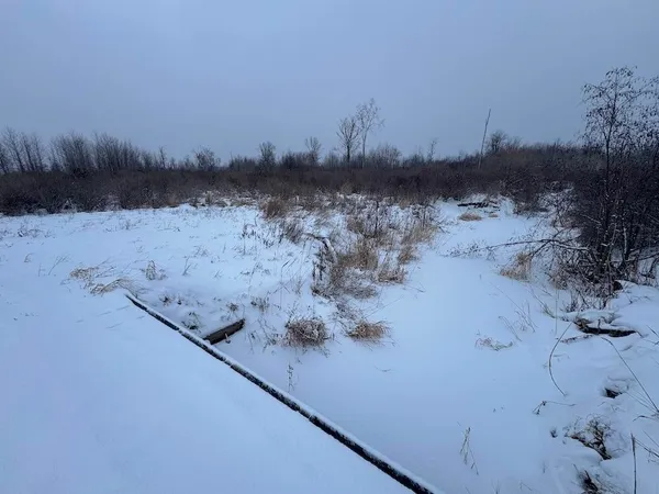 $274,900 | 78.5-acres Alabaster Road, Tawas City, MI 48763