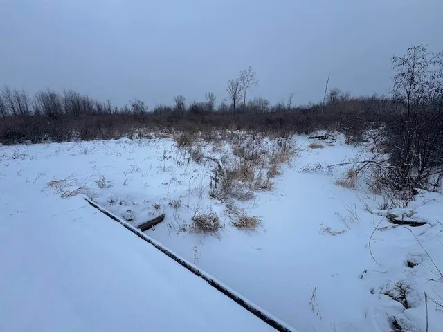 $274,900 | 78.5-acres Alabaster Road, Tawas City, MI 48763