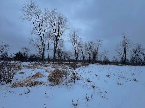 $274,900 | 78.5-acres Alabaster Road, Tawas City, MI 48763