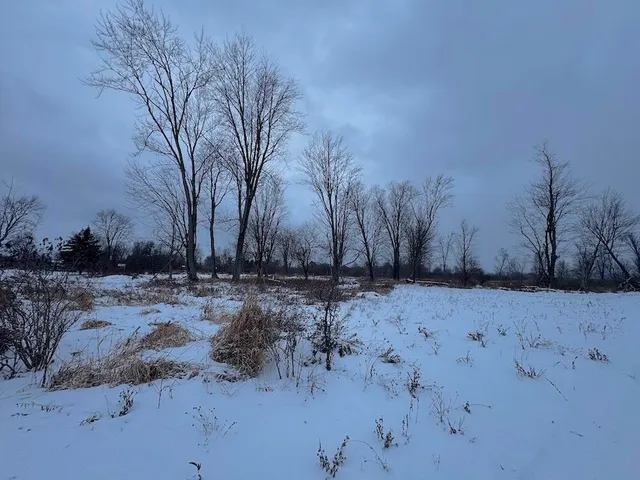 $274,900 | 78.5-acres Alabaster Road, Tawas City, MI 48763