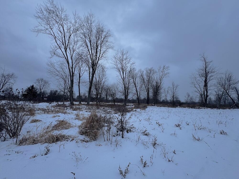 78.5-acres Alabaster Road Tawas City, MI 48763 - Photo 30 of 91 IMG_8761
