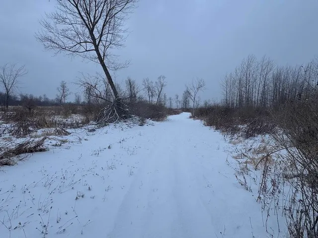 $274,900 | 78.5-acres Alabaster Road, Tawas City, MI 48763