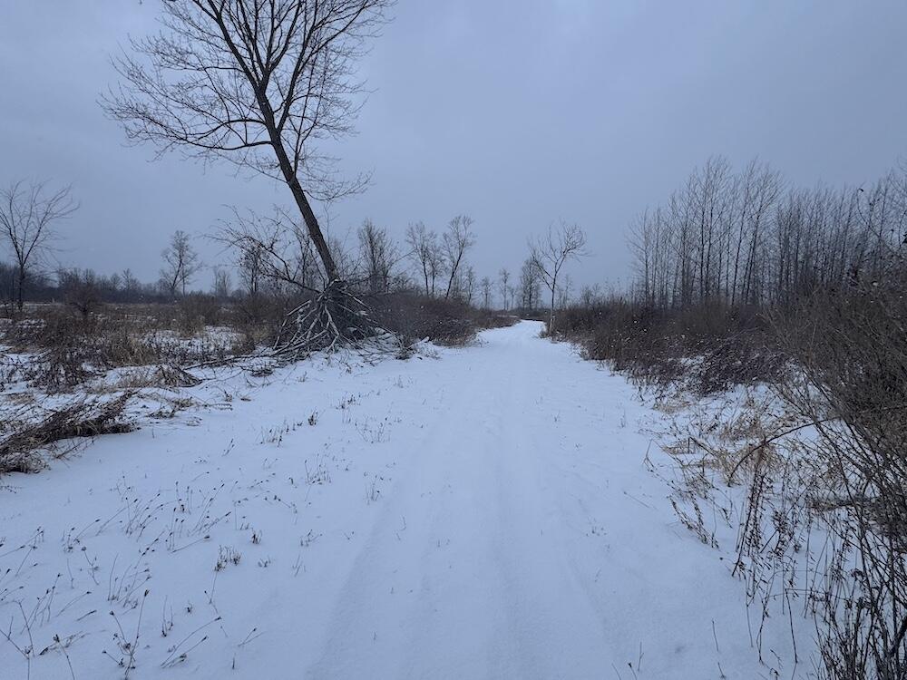 78.5-acres Alabaster Road Tawas City, MI 48763 - Photo 31 of 91 IMG_8762