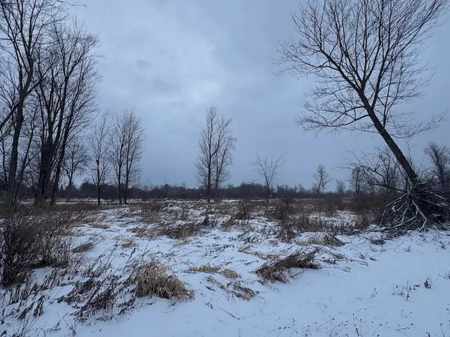 $274,900 | 78.5-acres Alabaster Road, Tawas City, MI 48763