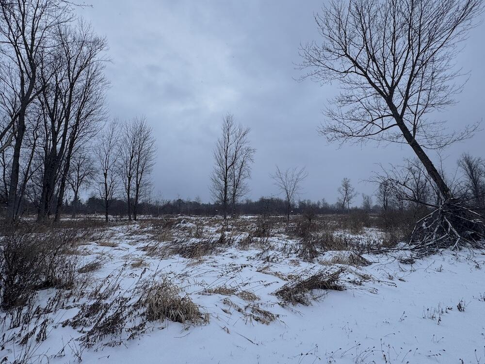 78.5-acres Alabaster Road Tawas City, MI 48763 - Photo 32 of 91 IMG_8763