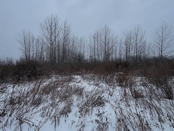 $274,900 | 78.5-acres Alabaster Road, Tawas City, MI 48763