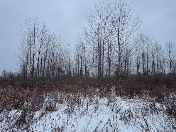 $274,900 | 78.5-acres Alabaster Road, Tawas City, MI 48763