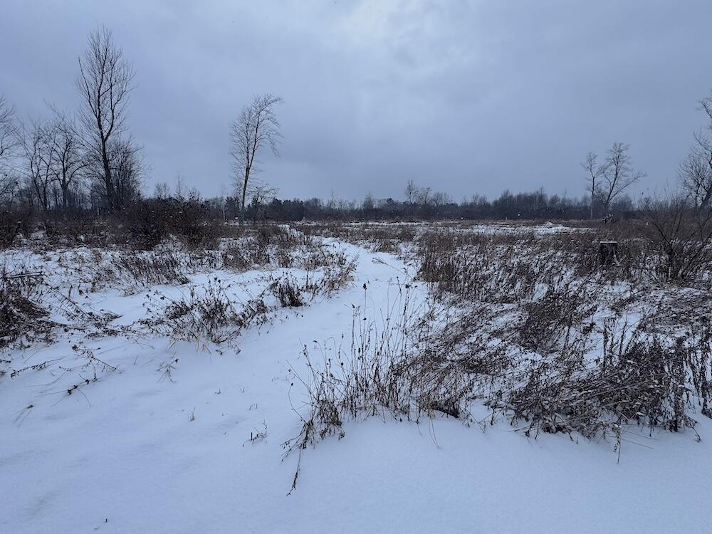 78.5-acres Alabaster Road Tawas City, MI 48763 - Photo 35 of 91 IMG_8766