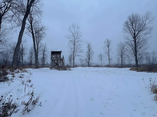 $274,900 | 78.5-acres Alabaster Road, Tawas City, MI 48763