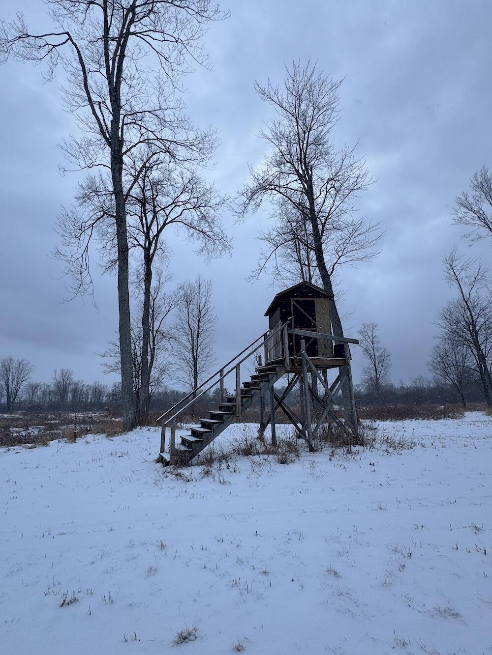 78.5-acres Alabaster Road Tawas City, MI 48763 - Photo 37 of 91 IMG_8768
