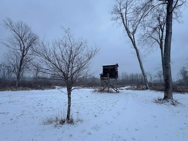 $274,900 | 78.5-acres Alabaster Road, Tawas City, MI 48763