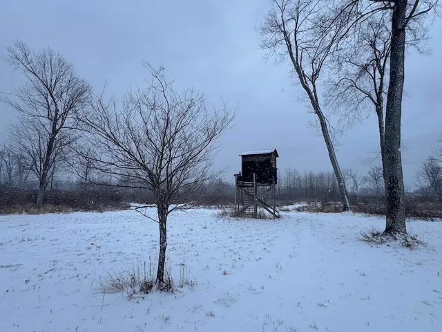 $274,900 | 78.5-acres Alabaster Road, Tawas City, MI 48763