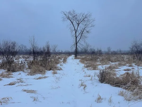 $274,900 | 78.5-acres Alabaster Road, Tawas City, MI 48763