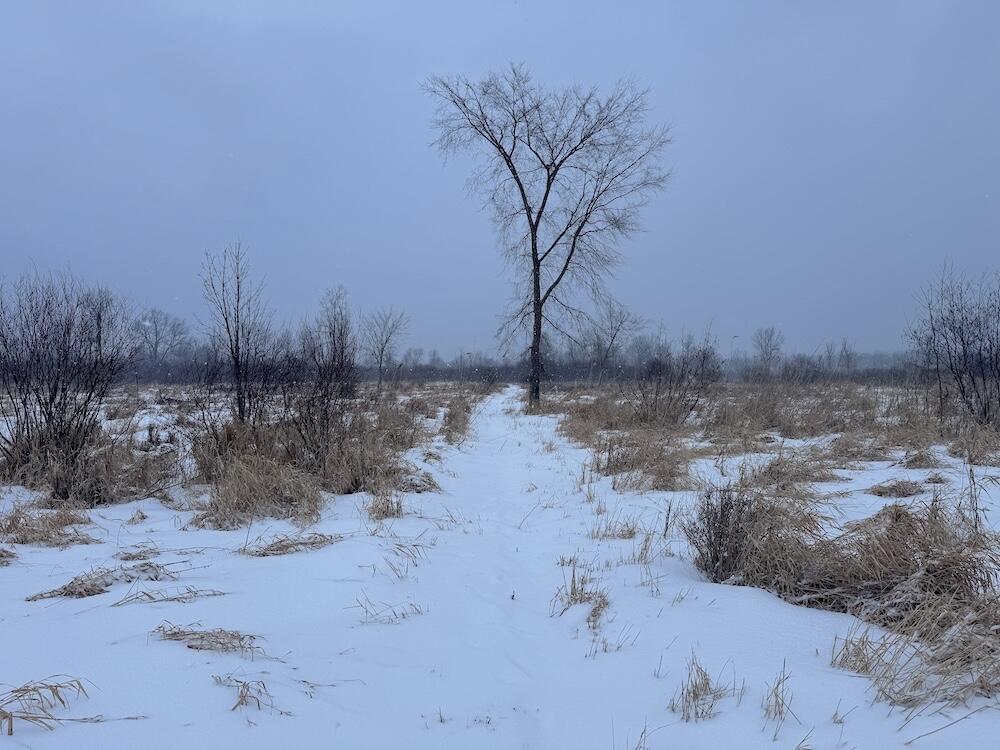 78.5-acres Alabaster Road Tawas City, MI 48763 - Photo 39 of 91 IMG_8770