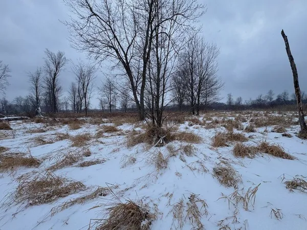 $274,900 | 78.5-acres Alabaster Road, Tawas City, MI 48763