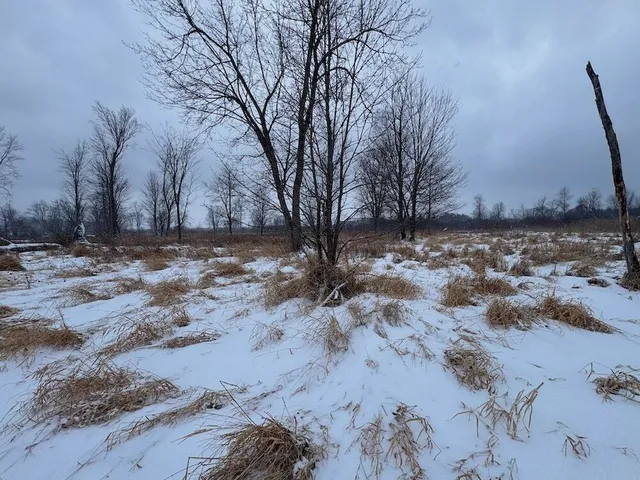 $274,900 | 78.5-acres Alabaster Road, Tawas City, MI 48763