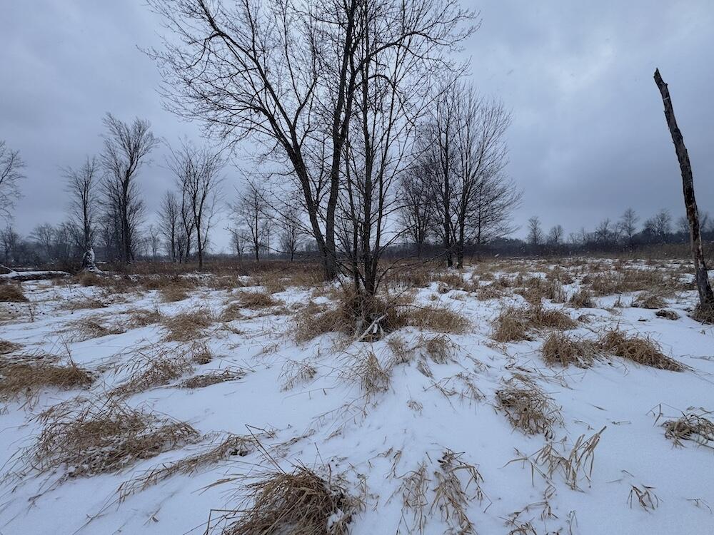 78.5-acres Alabaster Road Tawas City, MI 48763 - Photo 40 of 91 IMG_8771