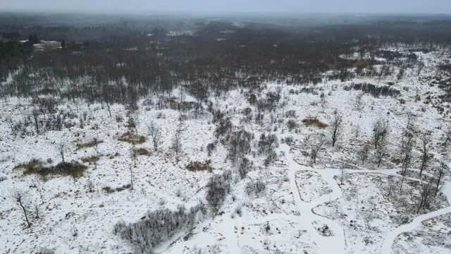 $274,900 | 78.5-acres Alabaster Road, Tawas City, MI 48763