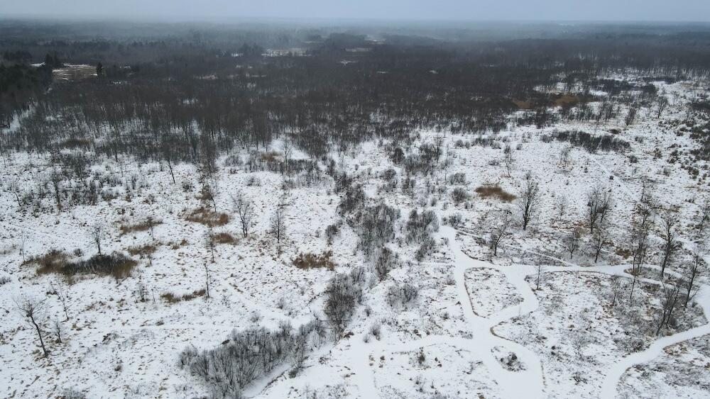 78.5-acres Alabaster Road Tawas City, MI 48763 - Photo 4 of 91 DJI_0434