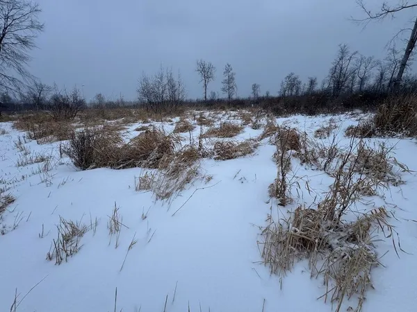 $274,900 | 78.5-acres Alabaster Road, Tawas City, MI 48763