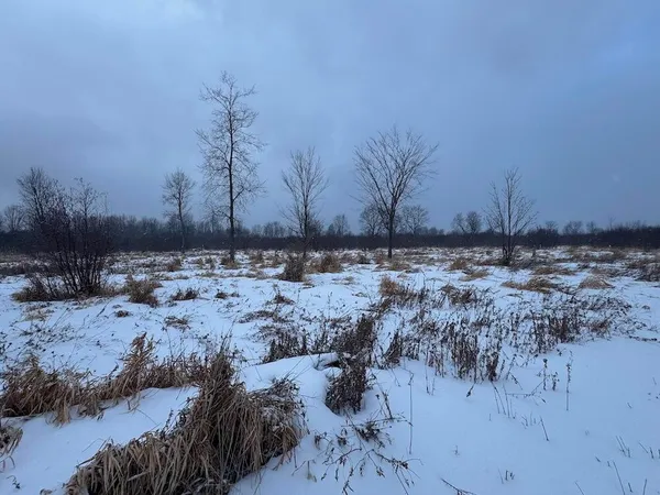 $274,900 | 78.5-acres Alabaster Road, Tawas City, MI 48763