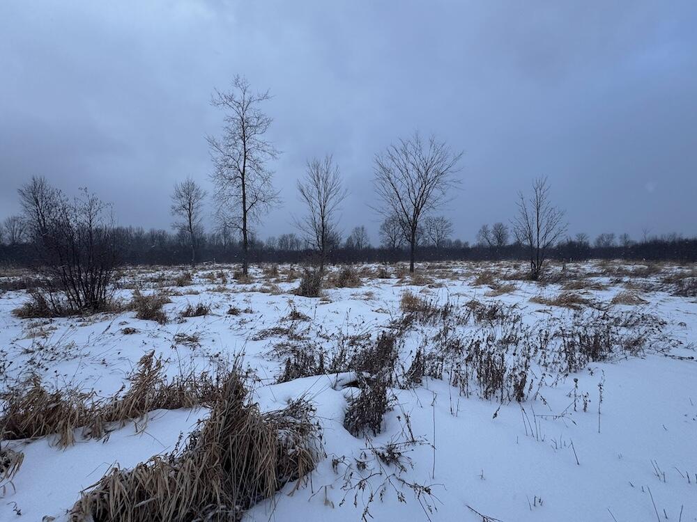 78.5-acres Alabaster Road Tawas City, MI 48763 - Photo 42 of 91 IMG_8773